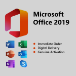 MICROSOFT OFFICE 2019 PROFESSIONAL PLUS FOR WINDOWS LICENSE