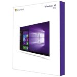 Windows 10 professional license